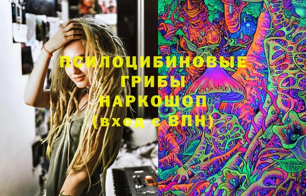 кокс Алексин