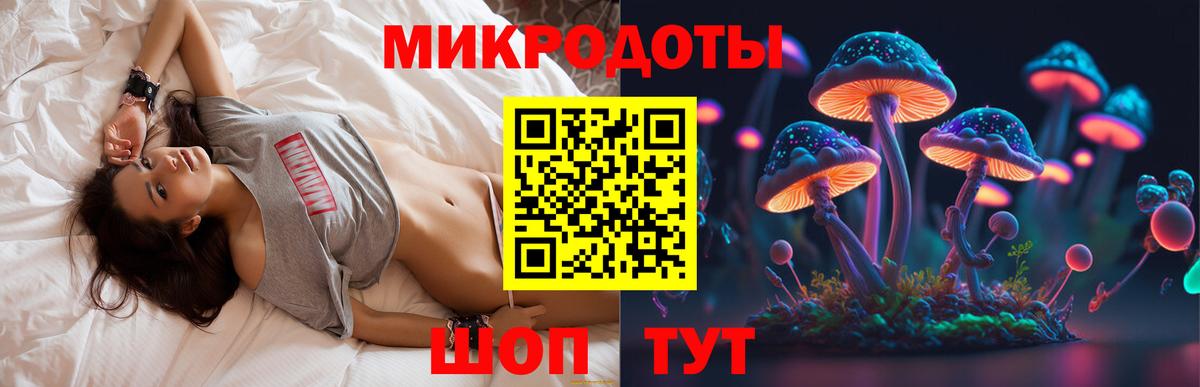 Псилоцибиновые грибы мицелий Учалы