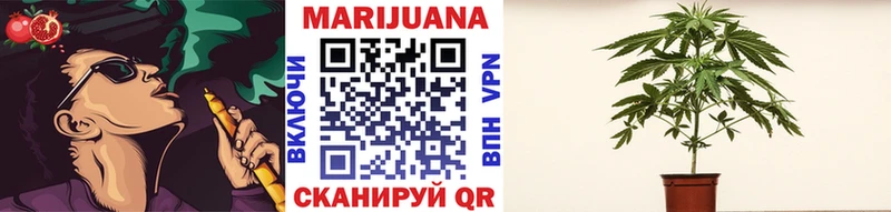 дарнет шоп  Учалы  Марихуана сатива 